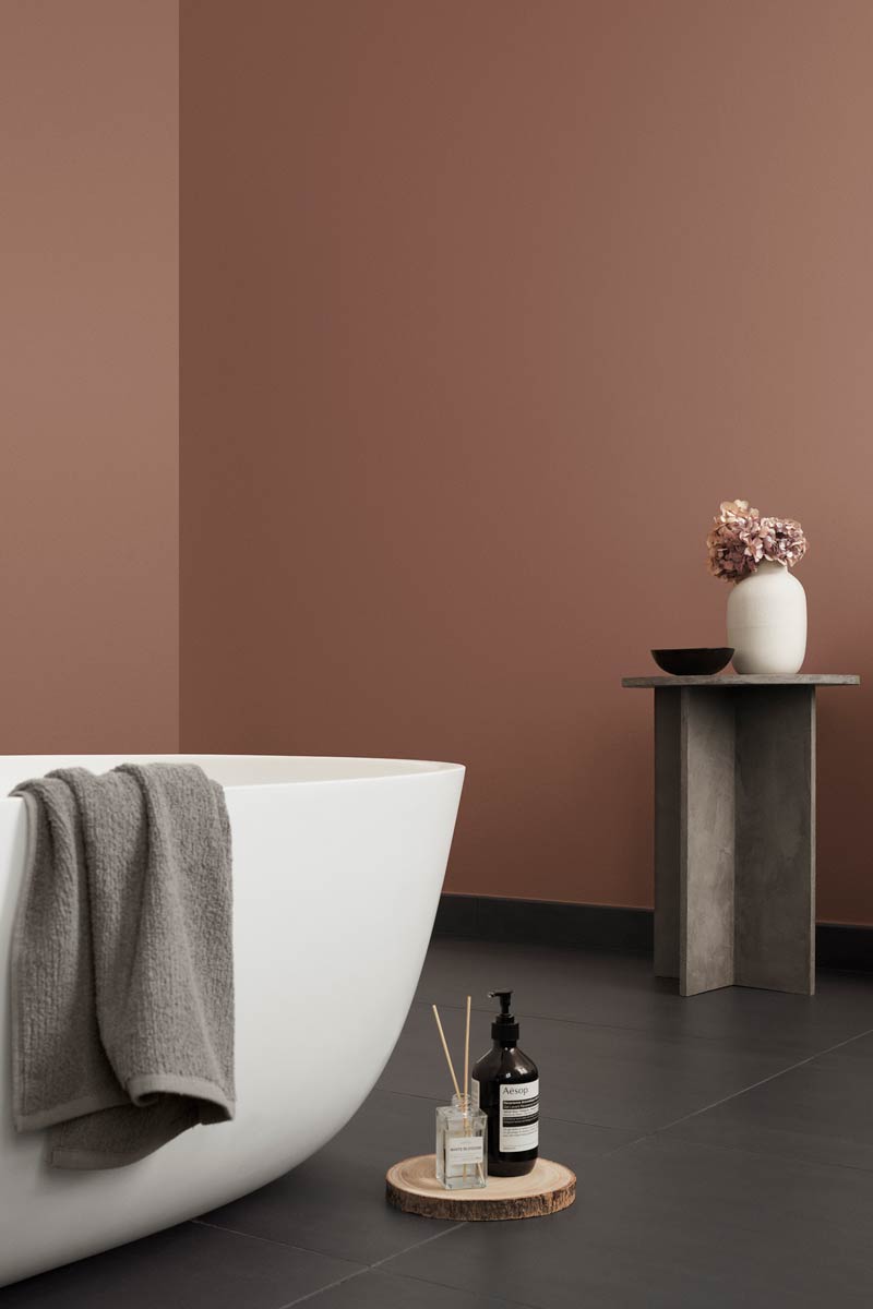 Bilde for