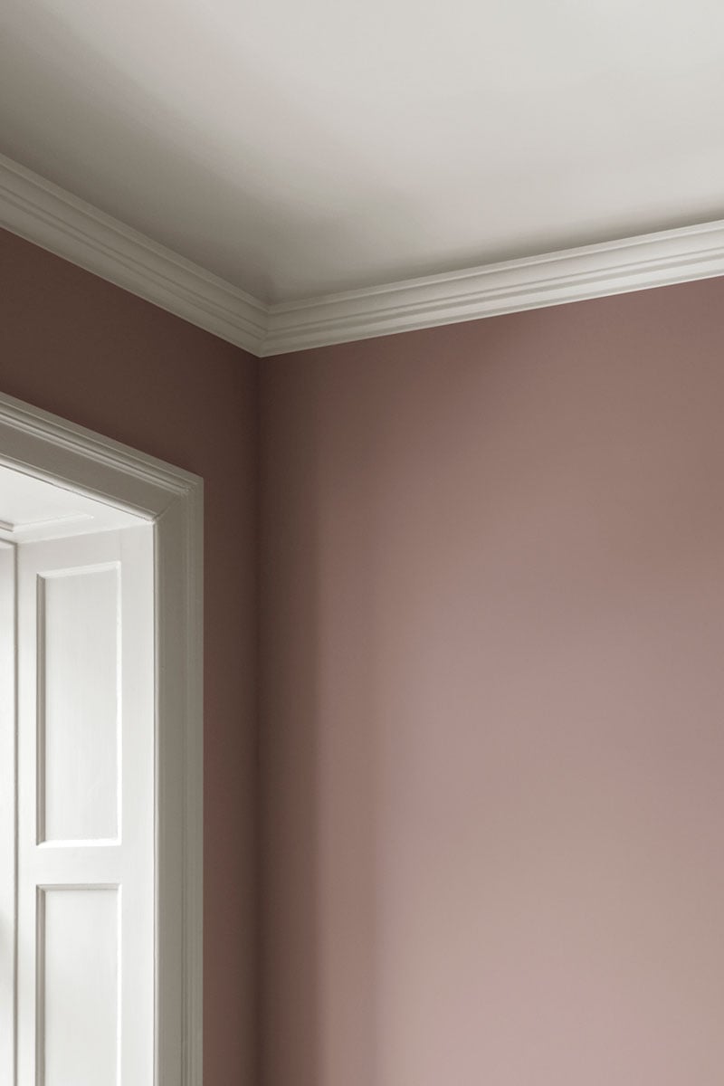 Bilde for